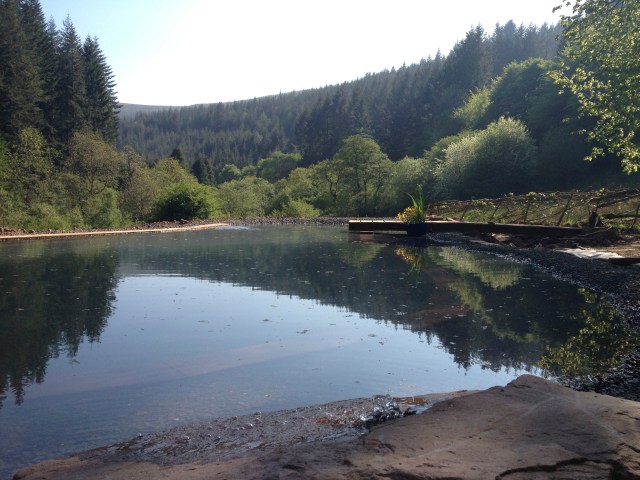 pond and valley