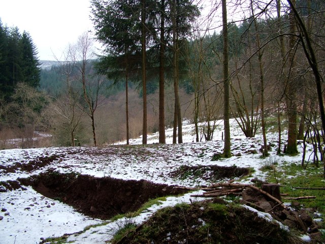 DSCF6504