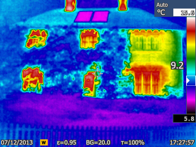 Insulation Ivy on the left