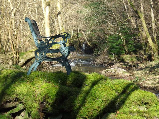 single bench by the river