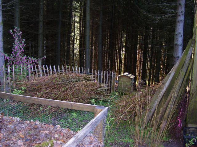 willow for fencing panels