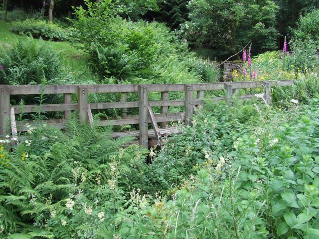 Bridge number 1 hidden in the foliage