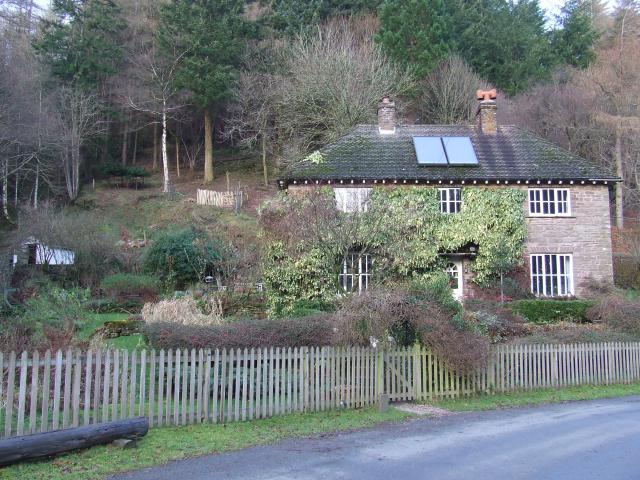 No Tree - Little House