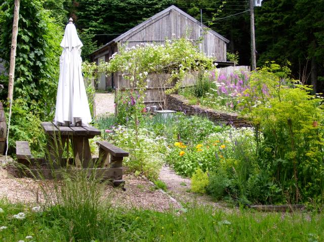 Vegetables + flowers + "weeds"!