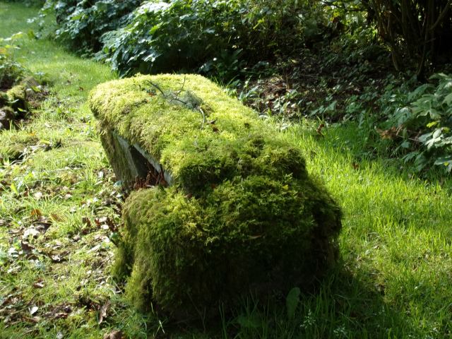 Mossy bench