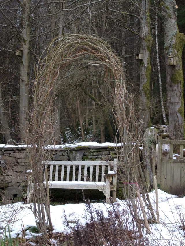Willow arch