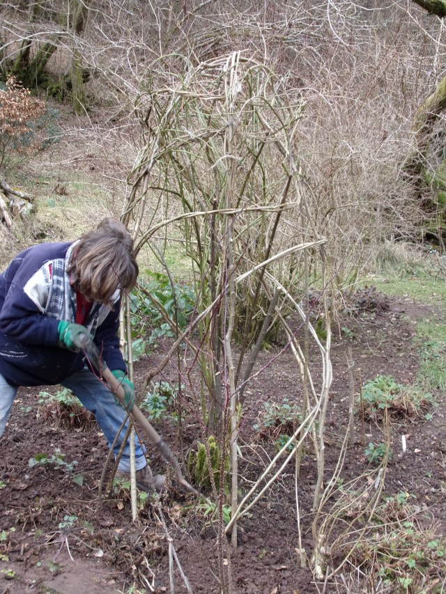 Caroline created this hazel rose dome