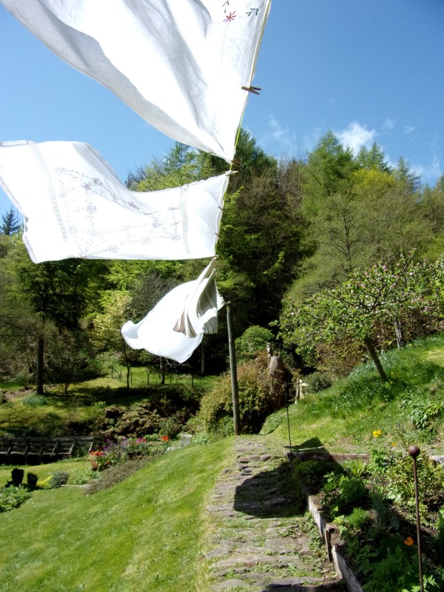 tablecloths on the washing line