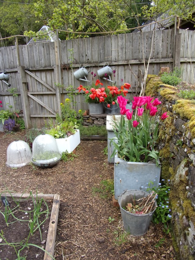 the front cover of the Gwent NGS leaflet