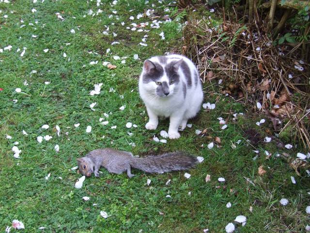 Smudge on pest control