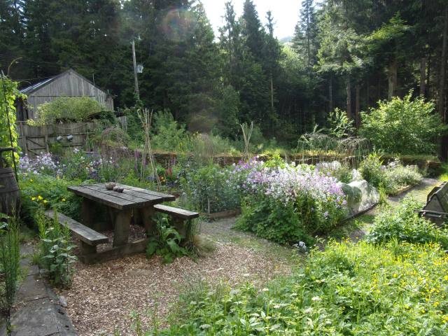 Sweet Rocket - otherwise known as pinky things!