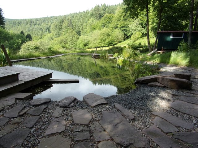Still life on the pond
