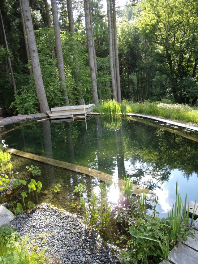 Reflecting on a beautiful morning - in for a dip later