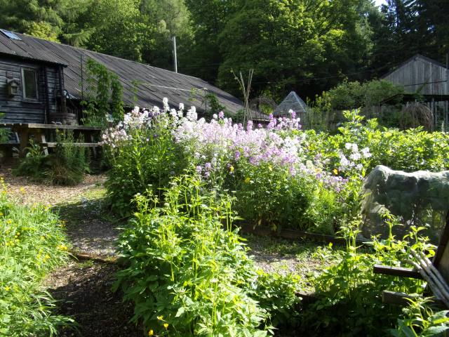 It's that pinky thing again!