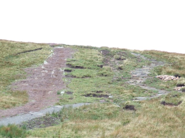 repairing the damaged slope with heather trimmings