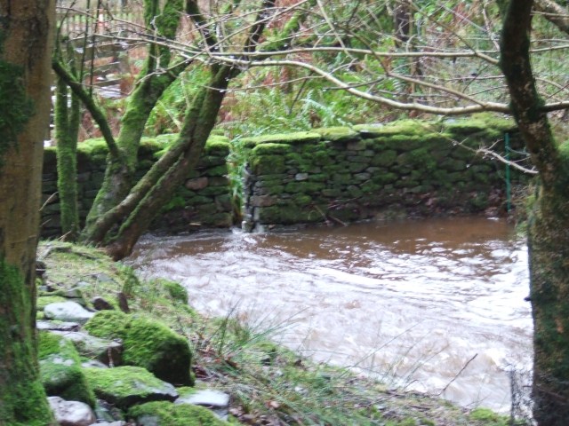 backing up behind Dafydd's wall