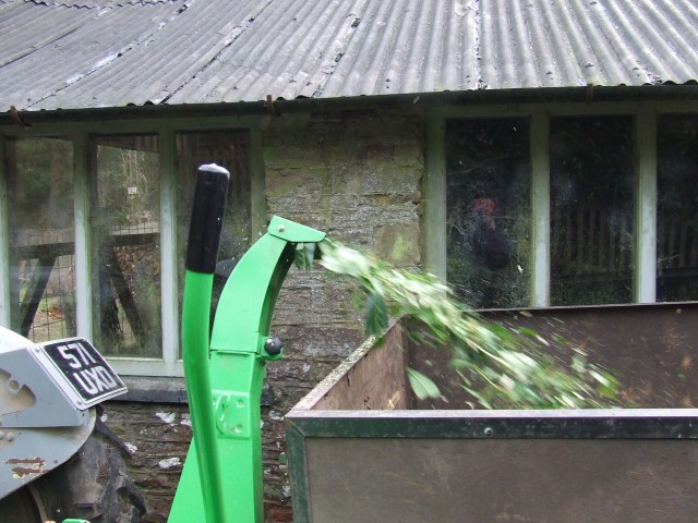 Chipped laurel at speed