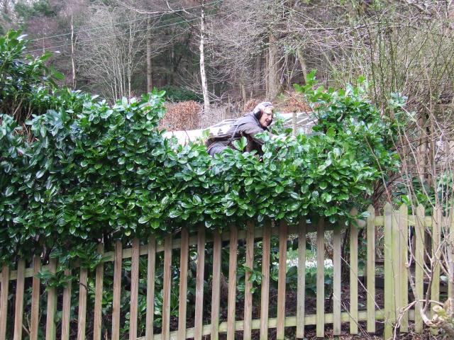 "I can reach it, honestly"