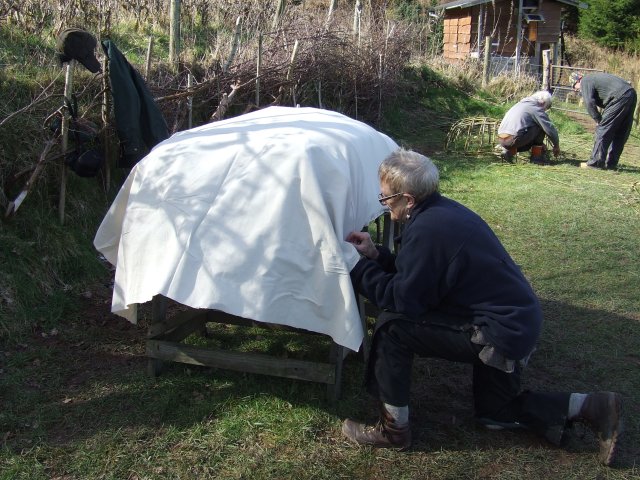 Roughly sizing the fabric to the frame