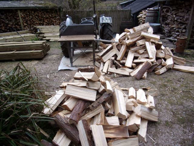 still cutting winter firewood