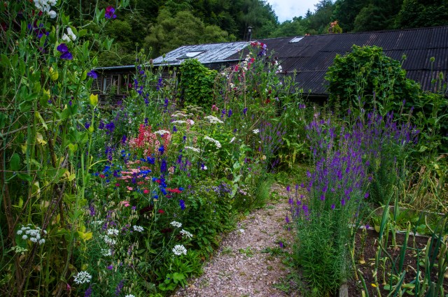 Looking back up the "Potager"