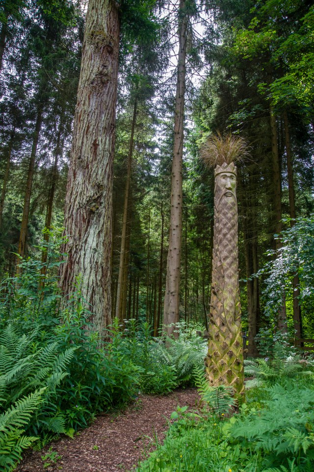Cedric, the Seed King