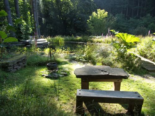Picnic by the shepherd's hut and pond.
