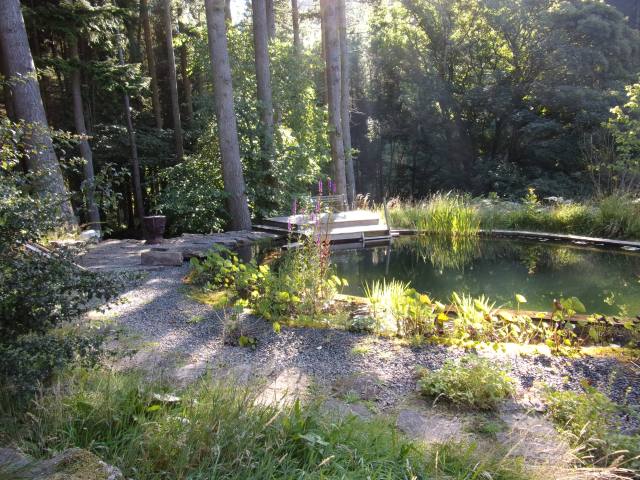 morning sunlight on the swimming pond