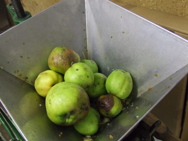 ...not too many at a time