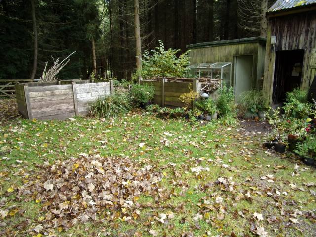 raking up autumn leaves