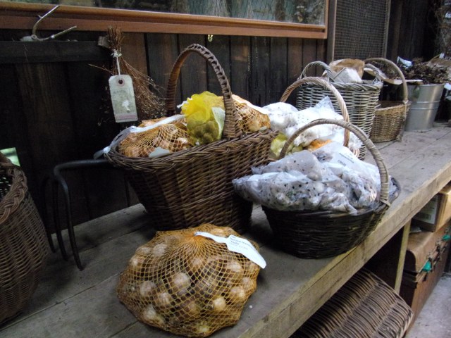 baskets of Spring bulbs still to be planted