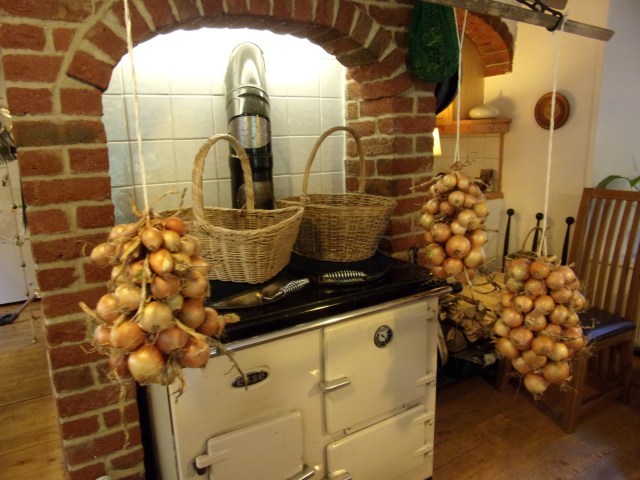 onion strings hanging from the Sheila Maid clothes airer