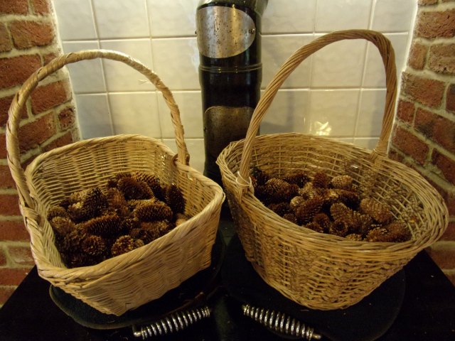 baskets of Sitka spruce cones