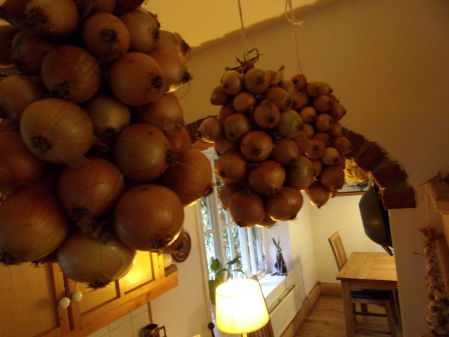 2016 strings of onions in the kitchen