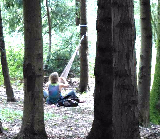 Wild weaving single image