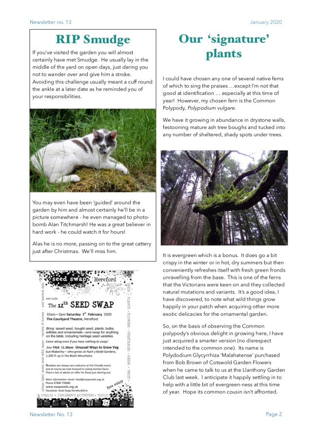 Jan 2020 newsletter2