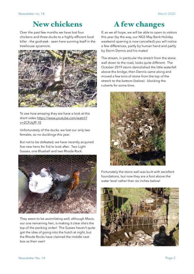 March 2020 newsletter 2